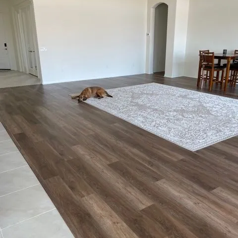 Pet friendly flooring in a Vegas home
